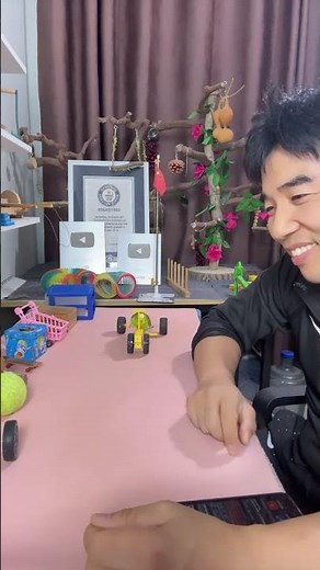 Watch my clever parrots show their little tricks live!Do you have a pet parrot at home?#parrot