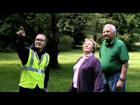 Trees and Power Lines