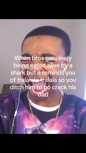 Genuinely Hilarious Shark Videos