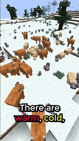 Have You Seen Minecraft’s New Animals?