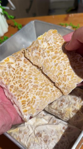 Simple Tempe Homemade Recipe | Easy Tempeh Making at Home