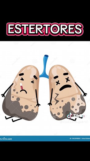 Auscultación pulmonar y ruidos respiratorios explicados