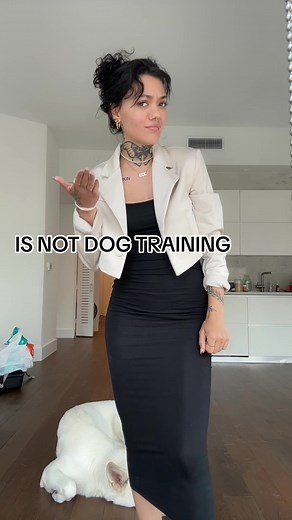 Creating Neurotic Dogs: Dog Training Tips and Techniques