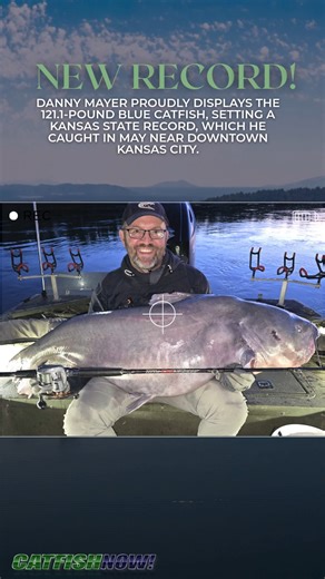 1.6K views · 18 reactions | Wow! A new state record cat from the Missouri River!  It’s catches like this that remind us just how special our waters can be. Read more about Danny’s Record Catch in CatfishNOW: https://catfishnow.com/another-state-record-for-missouri-river/ #StateRecord #Catfishing #MissouriRiver | Catfish NOW | Facebook
