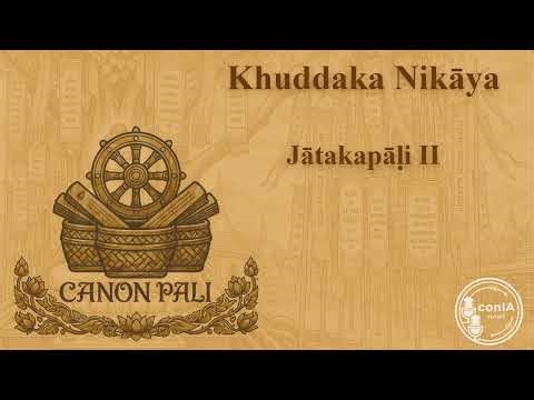 Canon Pali 21/40 | Khuddaka Nikāya | Jātakapāḷi II