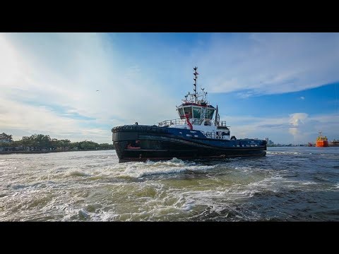 Sharing the Water: Safe Boating on Multi-Use Waterways