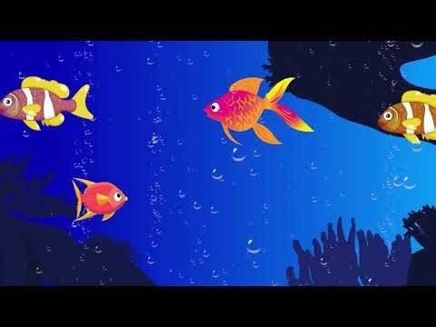 Best Fishing Song Collection for Calm and Focus
