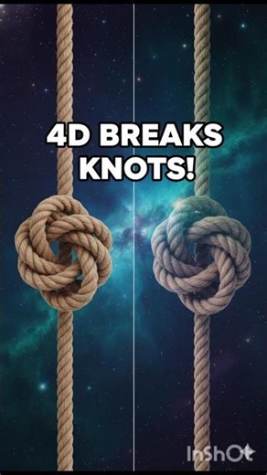 Why Knots Are Impossible in 4D Space (Mind-Blowing Physics!) #historyflash #knots #impossible
