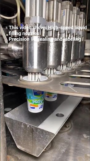 Industrial Yogurt Drink Production (Satisfying)