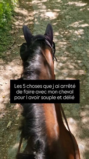 On veut tous un cheval souple, aerien, délié... mais que fait on vraiment pour l aider à y arriver? Voici les 5 choses que j'ai arrêté de faire et ce que j'ai fait à la place: ❌️ Ne travailler qu'en piste. Le dressage c'est fondamental pour équilibrer ton cheval mais il y a d'autres moyens de le travailler ✅️ J'ai commencé à aller me balader une fois par semaine, idéalement en cherchant des parcours avec du dénivelé ❌️ Négliger l'échauffement... le pas c'est ennuyeux... mais c'est super importan