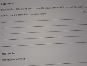 QUESTION 13Explain how CFC gases affect the ozone layer.QUES... | Filo