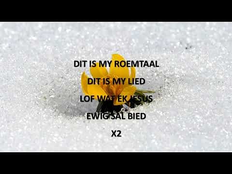 Danie Botha - Blye versekering | | LYRICS