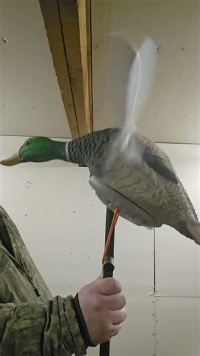 Thanks to my buddy for helping me figure out how to get this used spinner working! #redrunoutdoors