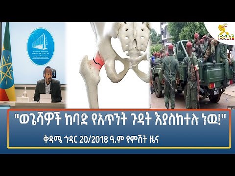 Ethiopia - Esat Amharic Night Time News 29 November 2025