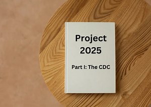 Project 2025 vs. The Public’s Health, Part I