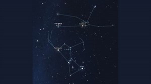 Stellar death and rebirth revealed by Betelgeuse and Crab Nebula