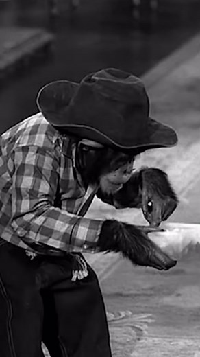 Irene Ryan as Granny in The Beverly Hillbillies #beverlyhillbillies #thebeverlyhillbillies #classictv #fyp