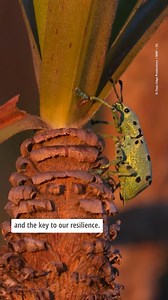 Nature makes resilient communities possible. It’s time to protect the natural systems that protect us. | World Wildlife Fund