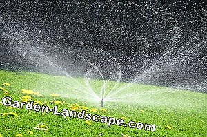 Lifestyle: Smart Garden: Automatic Garden Maintenance - My Beautiful Garden | 2025