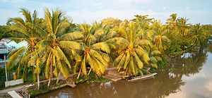 Soc Trang Travel Guide: Sightseeing & Top Things To Do | ORIGIN VIETNAM