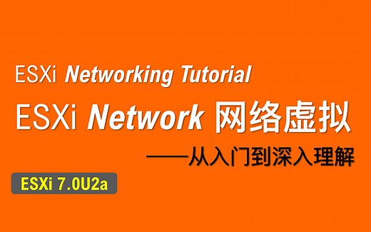 【老湿基】ESXi 网络虚拟化教程｜虚拟交换机｜vmknic｜vSphere 虚拟网络