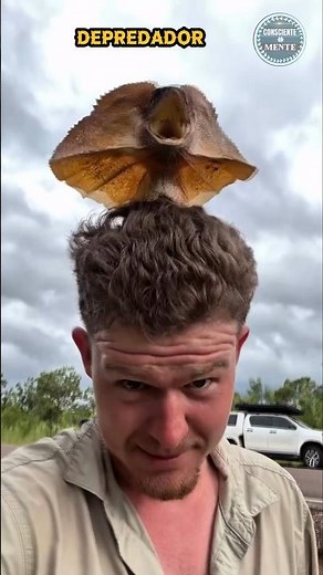 This animal looks like a real dinosaur! 🦖😱 #shorts #animals
