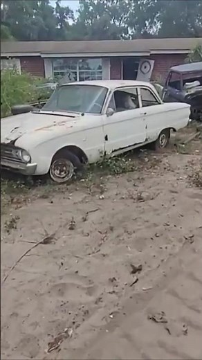 FORD FALCON PROJECT!