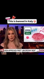 Here are the countries that have approved lab-grown meat: Singapore 🇸🇬 United States 🇺🇸 Israel 🇮🇱 Australia 🇦🇺 United Kingdom 🇬🇧 Netherlands 🇳🇱 🇮🇹 Italy is the only country to have banned the manufacture, sale, and import of “cultivated meat”. 🧫🥩 #labgrown #labgrownmeat #fakemeat #bioengineering #gmo | Dr. Group, DC