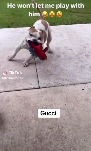 Lexi2 legit (@lexi2.legit)’s videos with original sound - Lexi2 legit