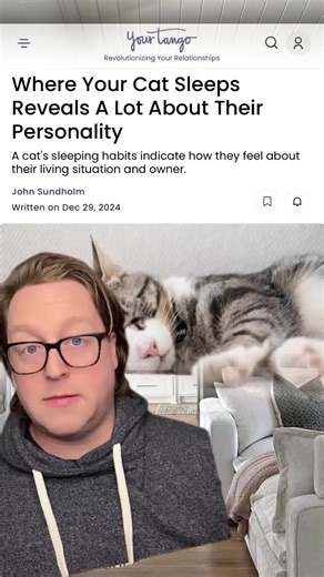 What a cat's nap reveals about love and salary transparency in job interviews #salary #interview #careers #salarytransparency #paygap #jobmarket #fyp #story #pet #cat #foryou #catlover #fypシ #tiktok #catowner #pov #storytime #catsoftiktok #catnap #viral