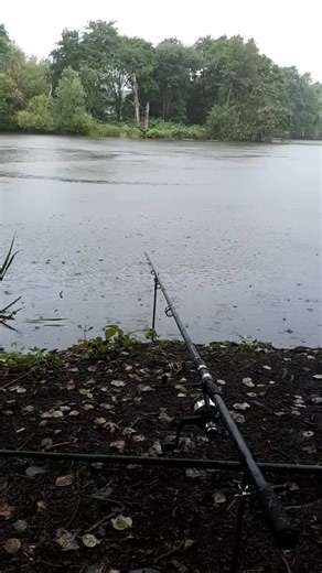 KingLizard on TikTok