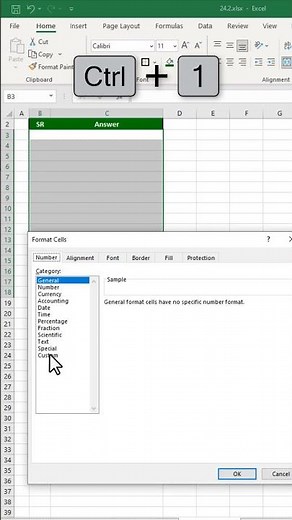 Professional Formatting in Excel