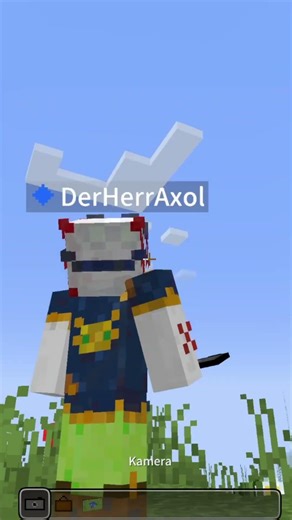 eine Sache die DU noch nicht Wusstest (Minecraft)