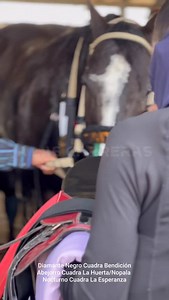 911 reactions · 35 shares | El Nocturno Cuadra La Esperanza ...