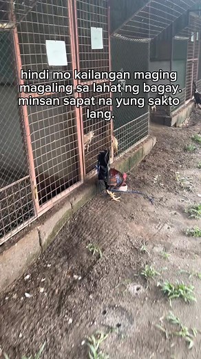 80K views · 1.9K reactions | lor Official on Reels | Facebook