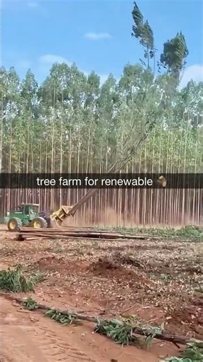 Hydraulic Precision in Modern Land Clearing