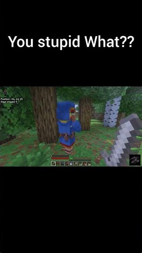 You stupid WHAT? #minecraft #funny #minecraftshorts