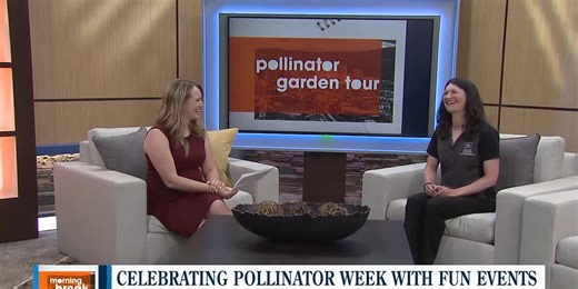 Northern  Nevada celebrates Pollinator Week with fun educational events for everyone