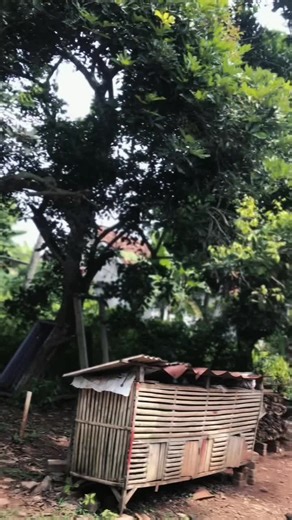 Babay Black 😌#masokberandafyp #fypmalam #fypage #pcx160ล้อ17แต่งสวย #vietnamstyle🇻🇳 #pcxring17 #purple #savering17🇳🇱 #pcxring17thailandstyle🇹🇭🇹🇭