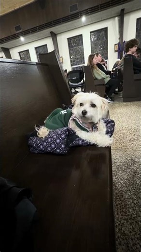 Maggie listening to the Offertory song on Holy Thursday 2026