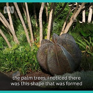 Bronwyn Oliver's intricate artwork, like the sculptures in The Royal Botanic Garden, Sydney, show an incredible eye for patterns in nature. #KnowMyName | ABC Arts