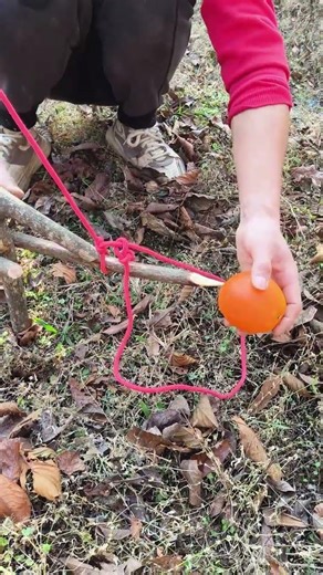 Homemade Trap for Real Outdoor Adventures