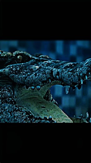 “Hunter Becomes Prey 🐊🔥” [4k] Quality Edit •#shorts #edits