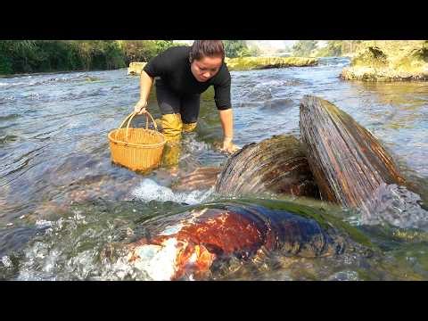 The big clam that this girl picked contains too many pearls, so picking it is very enjoyable