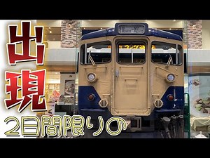[Railway Adventure Group] 113 series only available for two days/2025 Sumida Railway Festival/Kin...