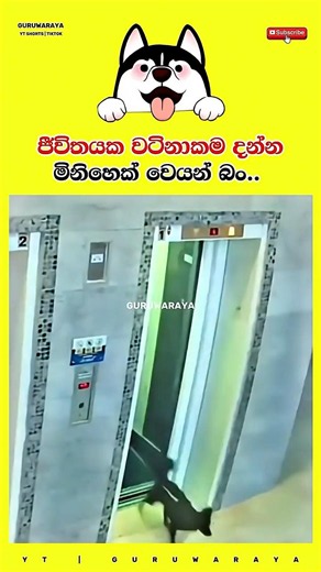 ජීවිතයක වටිනාකම දන්න මිනිහෙක් වෙයන් බං ❤️💯 #motivation #quote #inspire #girls #boys #woman #women