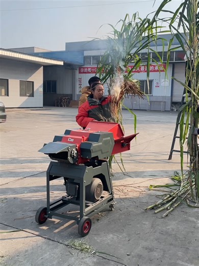 Efficient Daily Feeding Solutions for Farms