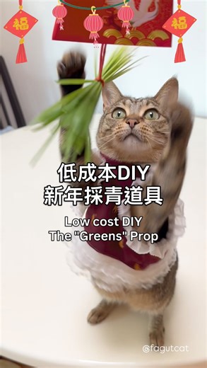 虎斑貓花&吉🌸🍊 on Instagram: "快學起來！新年製作一個和主子玩🐱 材料： 利是封 x1個 木天蓼球 x1個(或任何主子喜歡的零食） 紅繩 x30cm 貓草 x 1小束 Make one and play with your cat🐱 What you need: Red envelope x 1pc Silvervine ball x 1pc (Or your cat’s favourite snack) Red string x 30cm Wheat grass x A small bunch Silvervine ball from @3coins_official @3coins_hk Wheat grass from @muji_global @muji_hongkong #新年 #CNY #貓 #貓玩具 #DIY"