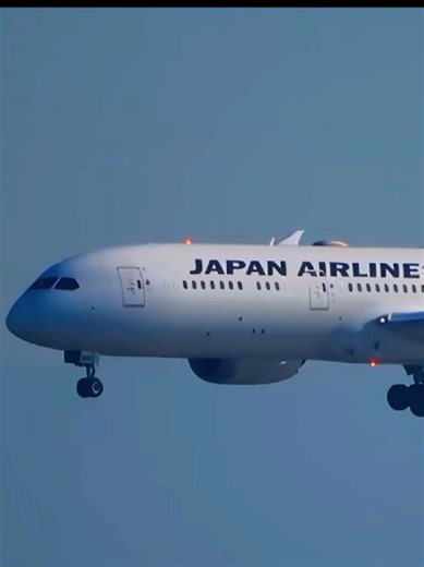 japan Airlines B787-8 Landing at America. #japan @ #b787 #landing #pilot #america. @TikTok Bangladesh