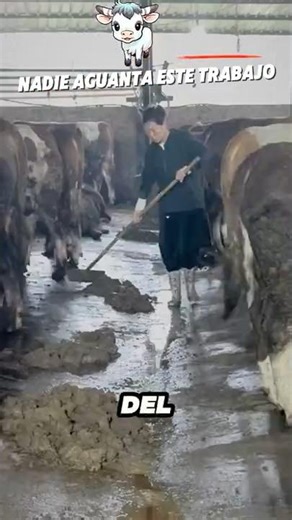 Would you dare to clean a stable like her? 😳